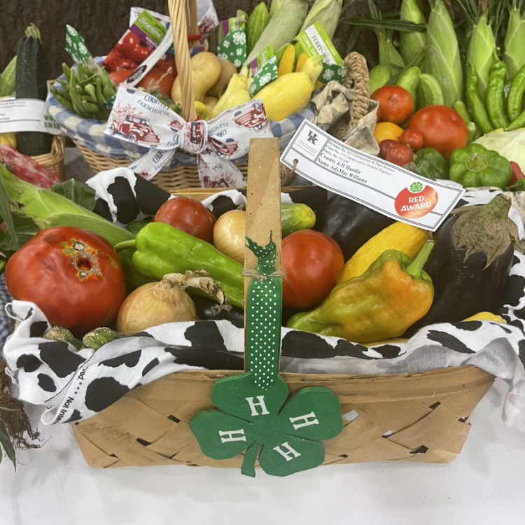  Hardin Co. Fair 4-H Exhibit (Veggies)